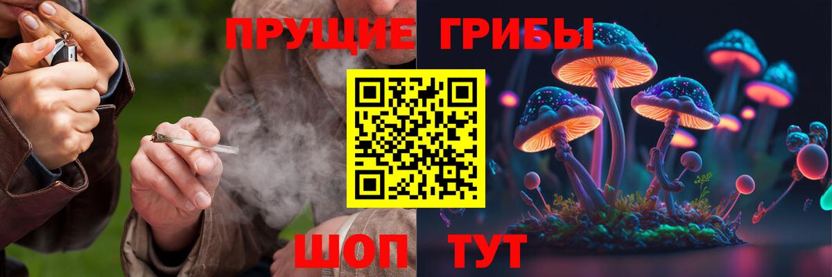 Торжок  Галлюциногенные грибы ЛСД  Вход с VPN 